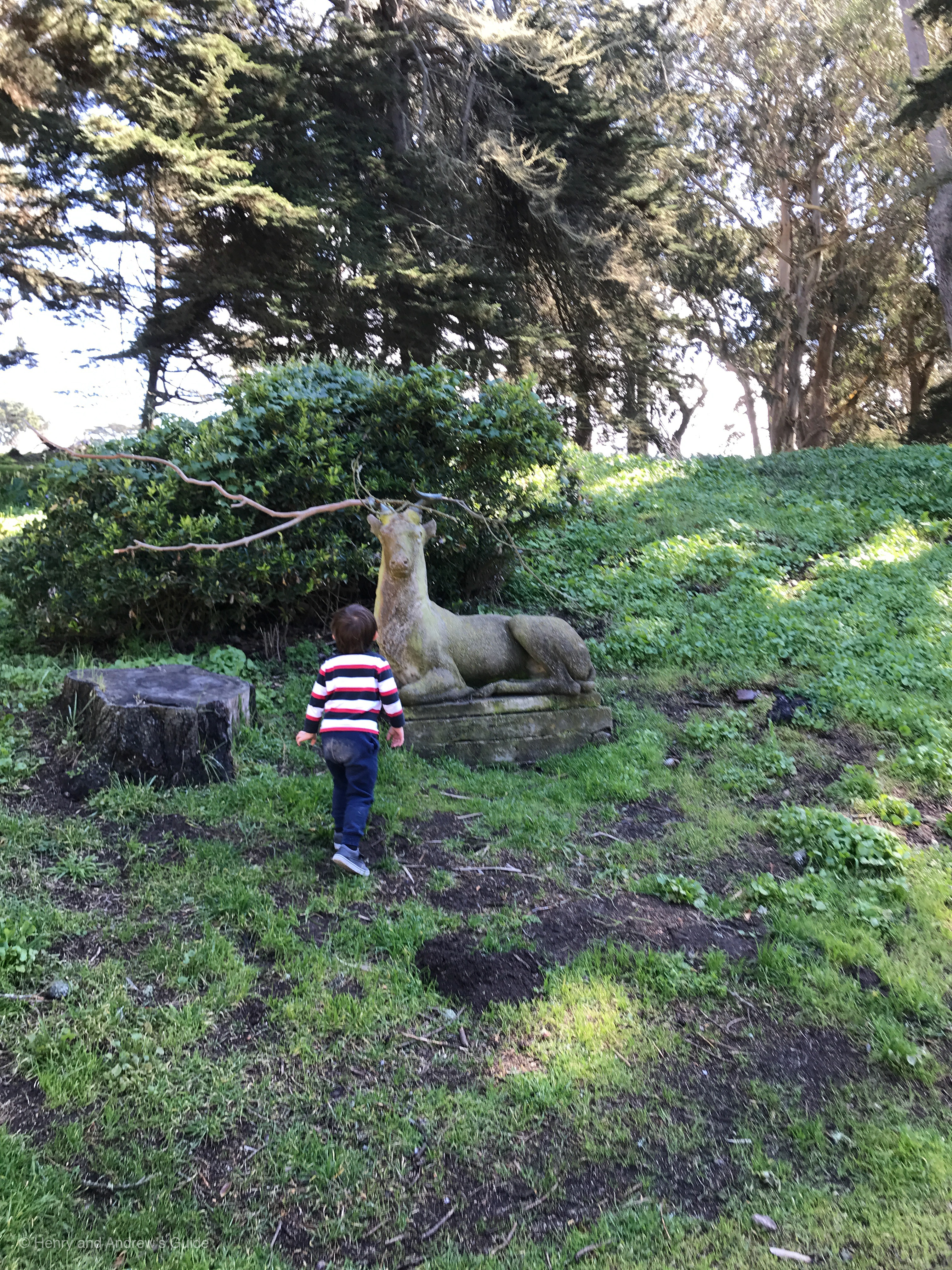 Lands End San Francisco with Kids | San Francisco with Kids | Kid Friendly Hikes in San Francisco | Henry and Andrew’s Guide (www.henryandandrewsguide.com)