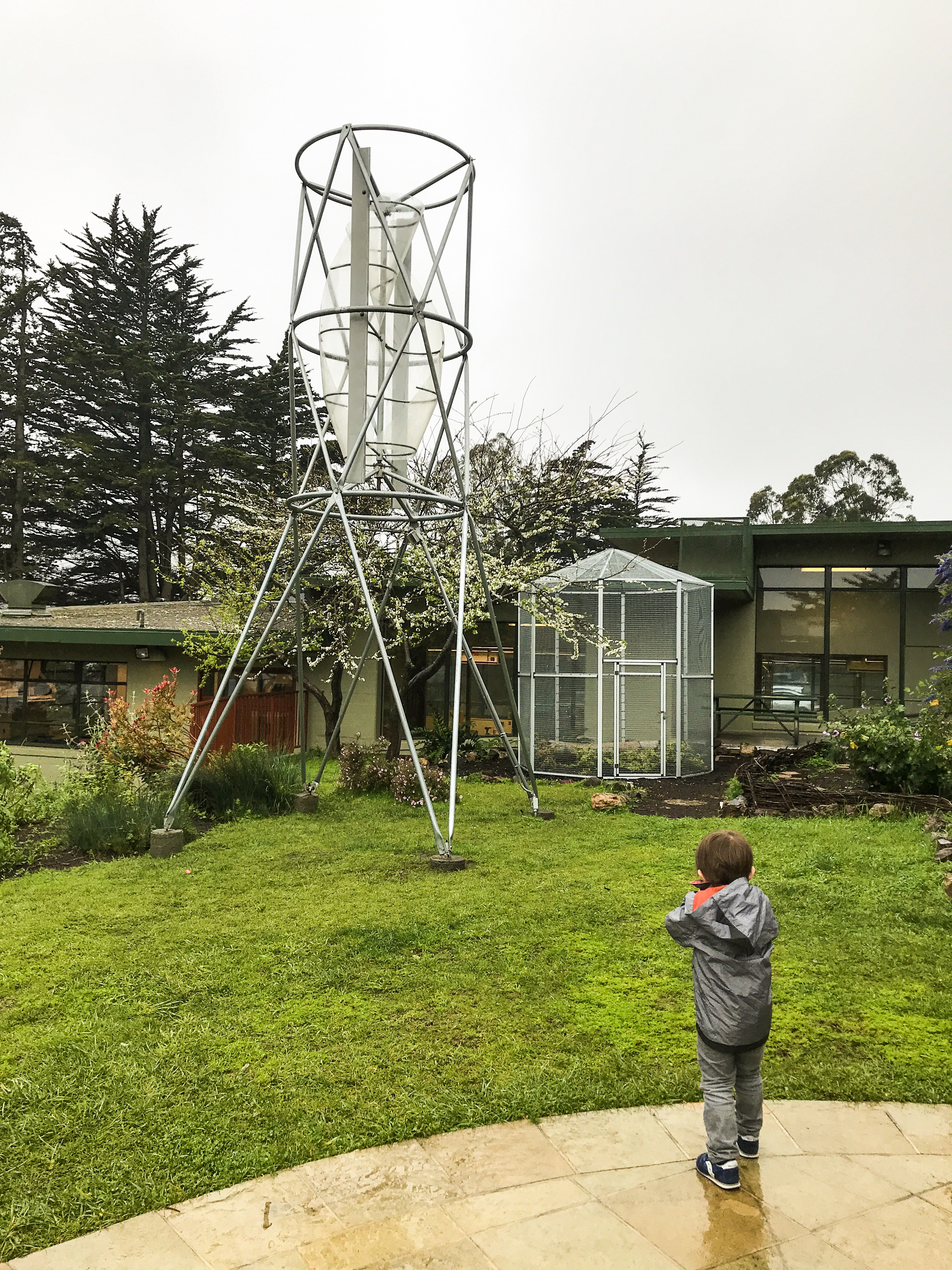 Guide to the Randall Museum San Francisco – In Depth Review