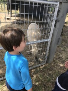 Sonoma with kids Longing at DeLoach Vineyards