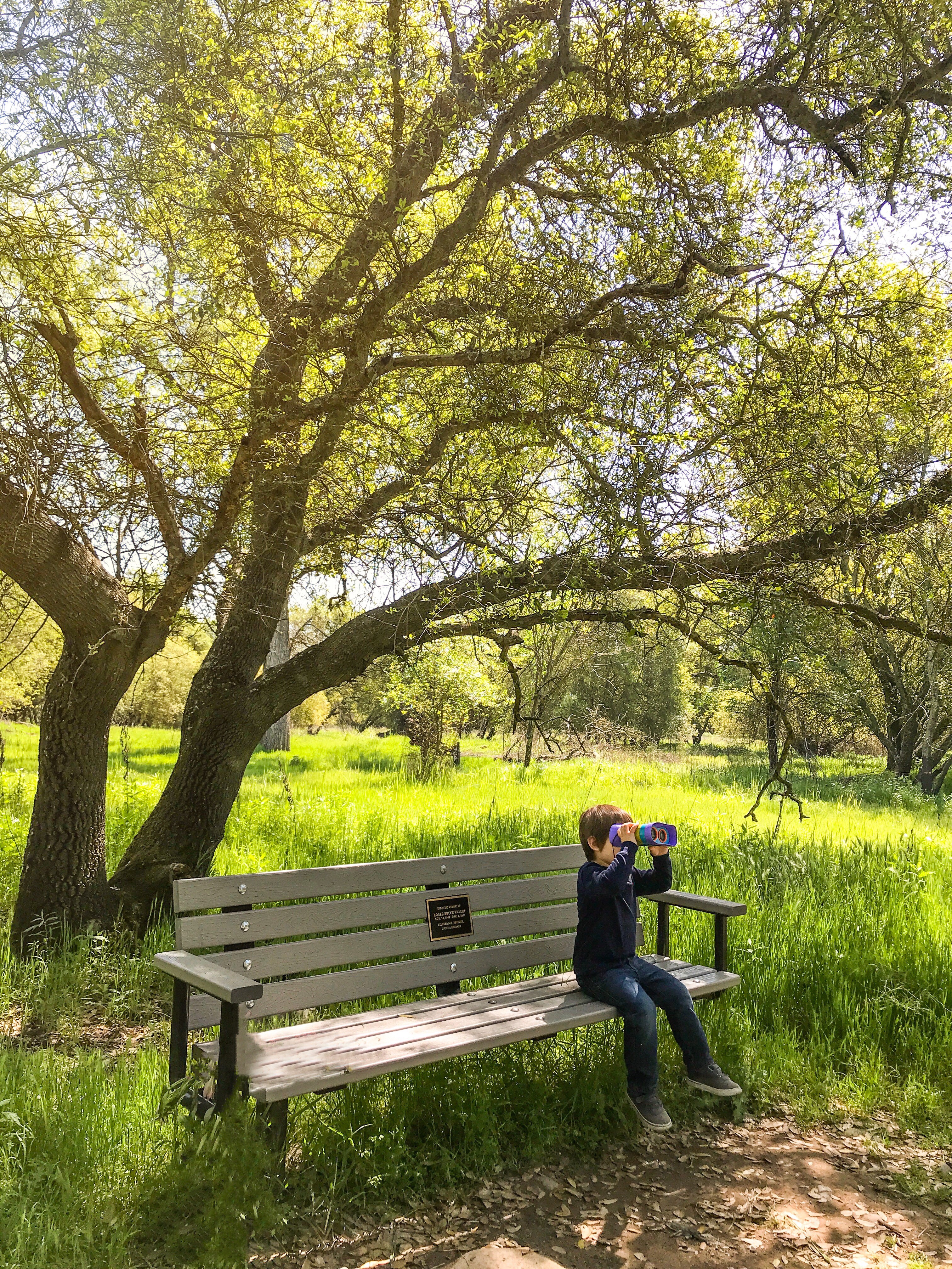 Guide to the Effie Yeaw Nature Center and Preserve in Sacramento with Kids