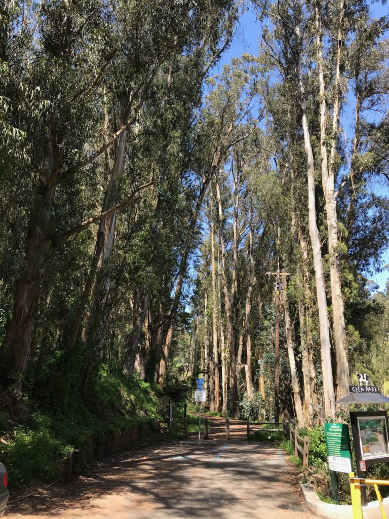 Kid-Friendly Hikes in San Francisco - Billy Goat Hill