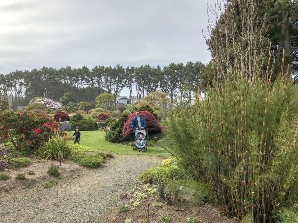 Guide to the Mendocino Botanical Gardens in Fort Bragg | Things to Do in Fort Bragg | Henry and Andrew’s Guide (www.henryandandrewsguide.com)