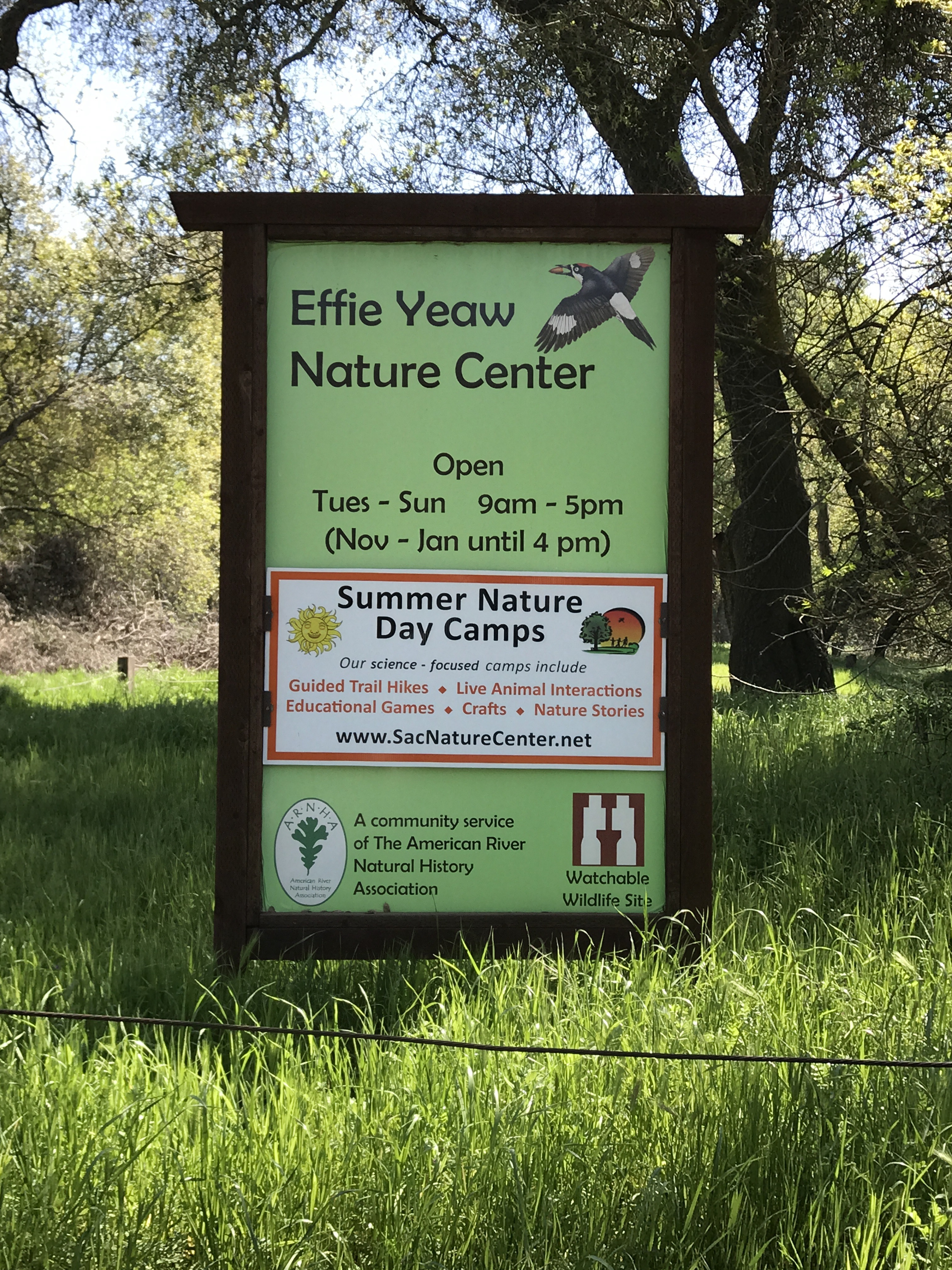 Guide to the Effie Yeaw Nature Center in Sacramento | Things to Do in Sacramento with Kids | Henry and Andrew’s Guide (www.henryandandrewsguide.com)