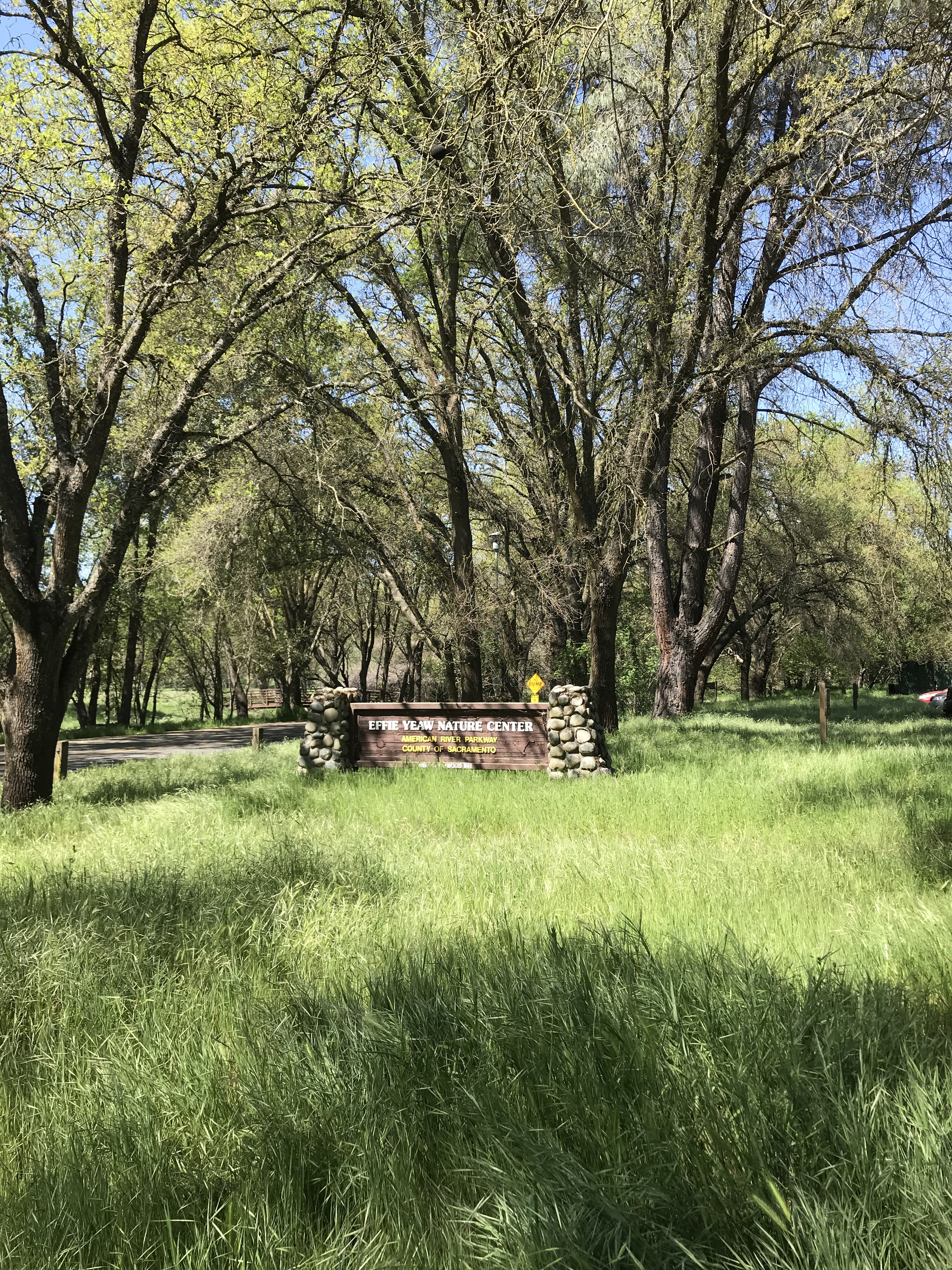 Guide to the Effie Yeaw Nature Center in Sacramento | Things to Do in Sacramento with Kids | Henry and Andrew’s Guide (www.henryandandrewsguide.com)