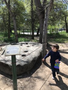 Guide to the Effie Yeaw Nature Center in Sacramento | Things to Do in Sacramento with Kids | Henry and Andrew’s Guide (www.henryandandrewsguide.com)