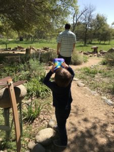 Guide to the Effie Yeaw Nature Center in Sacramento | Things to Do in Sacramento with Kids | Henry and Andrew’s Guide (www.henryandandrewsguide.com)