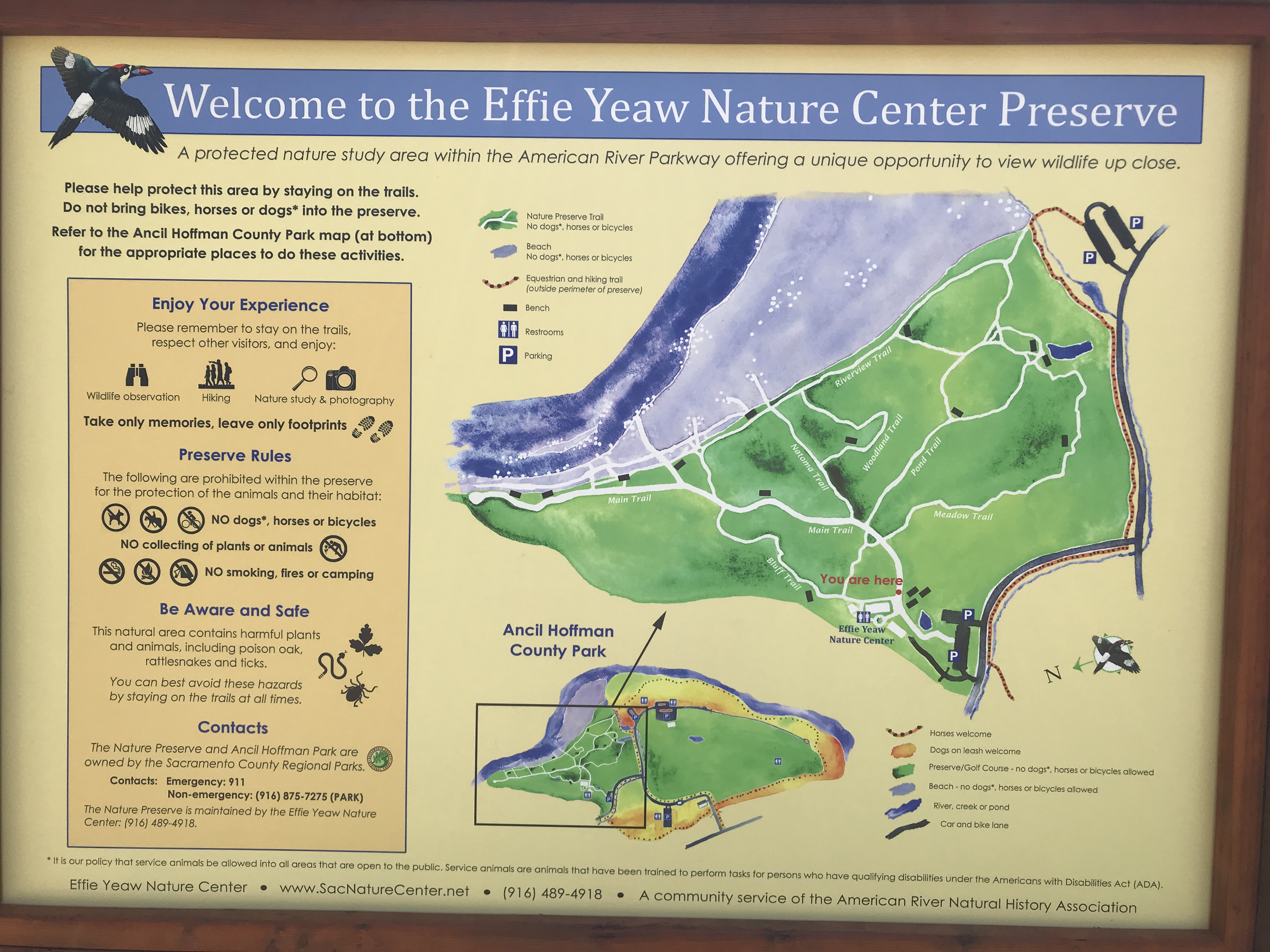 Guide to the Effie Yeaw Nature Center in Sacramento | Things to Do in Sacramento with Kids | Henry and Andrew’s Guide (www.henryandandrewsguide.com)