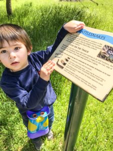 Guide to the Effie Yeaw Nature Center in Sacramento | Things to Do in Sacramento with Kids | Henry and Andrew’s Guide (www.henryandandrewsguide.com)