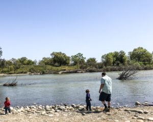 Guide to the Effie Yeaw Nature Center in Sacramento | Things to Do in Sacramento with Kids | Henry and Andrew’s Guide (www.henryandandrewsguide.com)