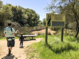 Guide to the Effie Yeaw Nature Center in Sacramento | Things to Do in Sacramento with Kids | Henry and Andrew’s Guide (www.henryandandrewsguide.com)