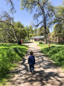 Guide to the Effie Yeaw Nature Center in Sacramento | Things to Do in Sacramento with Kids | Henry and Andrew’s Guide (www.henryandandrewsguide.com)