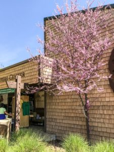 Guide to the Effie Yeaw Nature Center in Sacramento | Things to Do in Sacramento with Kids | Henry and Andrew’s Guide (www.henryandandrewsguide.com)