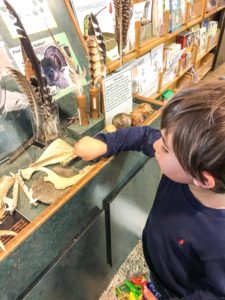 Guide to the Effie Yeaw Nature Center in Sacramento | Things to Do in Sacramento with Kids | Henry and Andrew’s Guide (www.henryandandrewsguide.com)