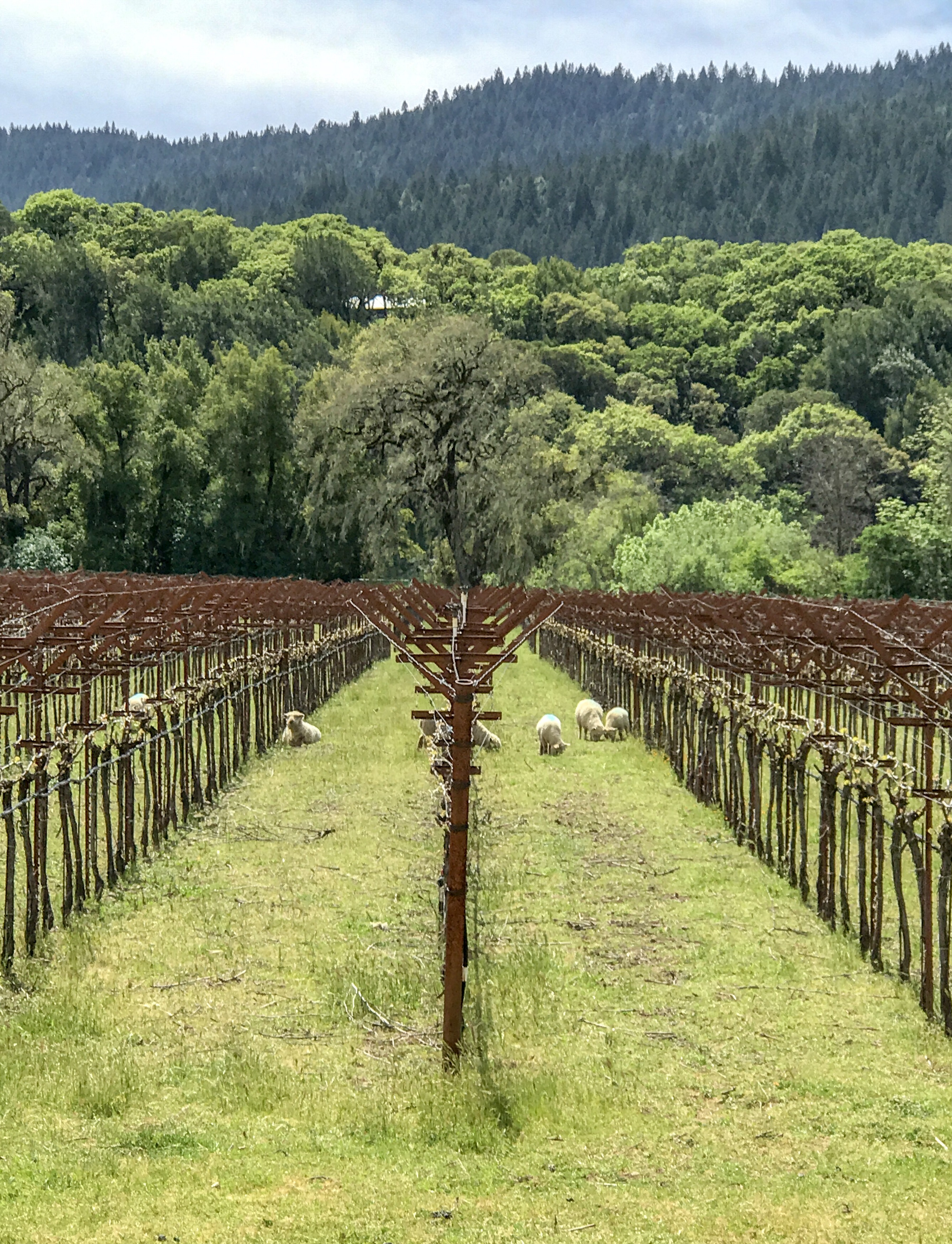 Pennyroyal Farm Guide: What to Expect