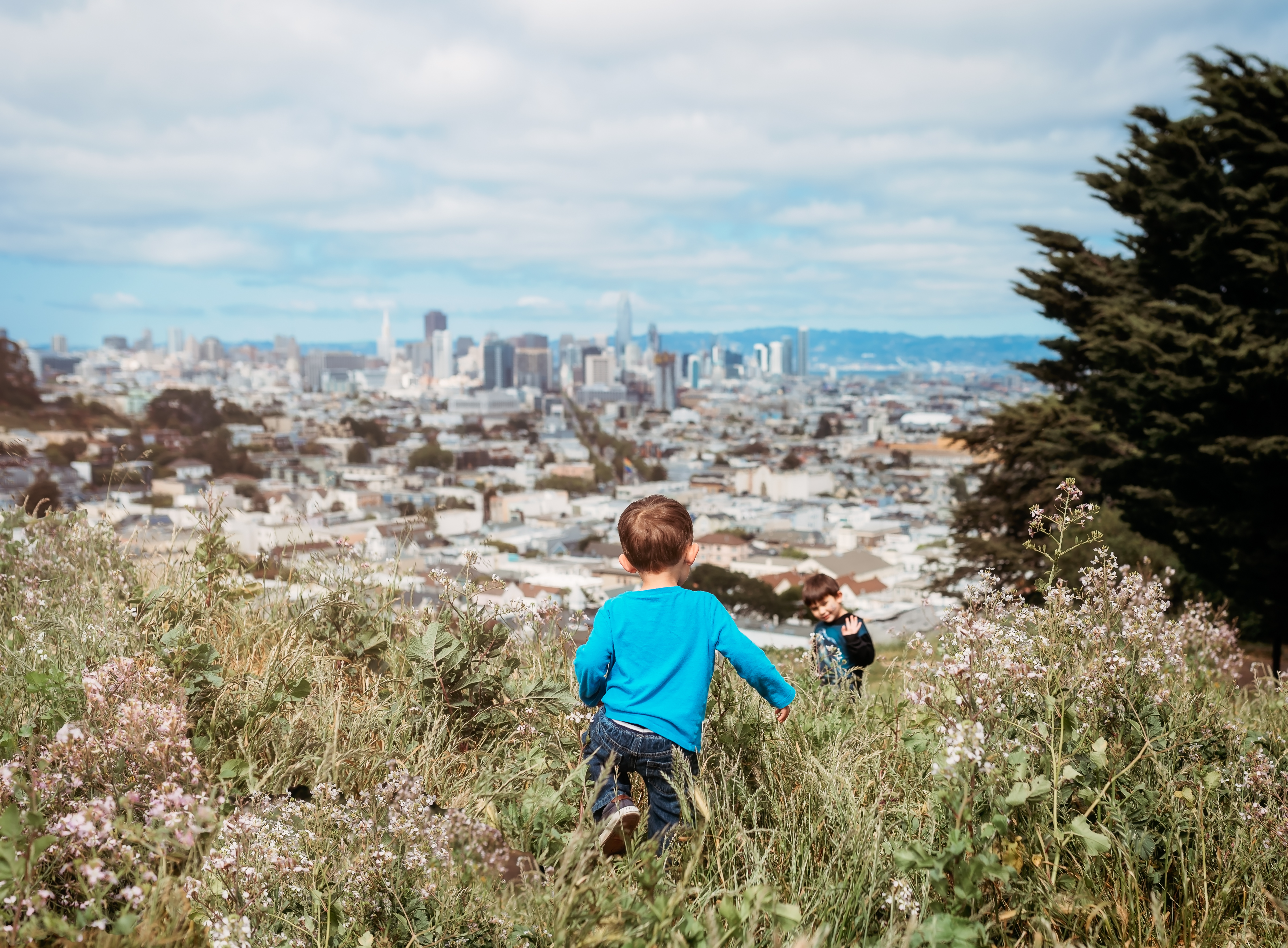 30+ Kid-Friendly Hikes in 49 Square Miles of San Francisco – Presidio, Golden Gate Park, Lands End & Neighborhood Spots