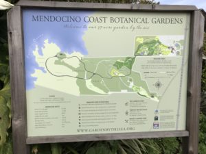 Guide to the Mendocino Botanical Gardens in Fort Bragg | Things to Do in Fort Bragg | Henry and Andrew’s Guide (www.henryandandrewsguide.com)