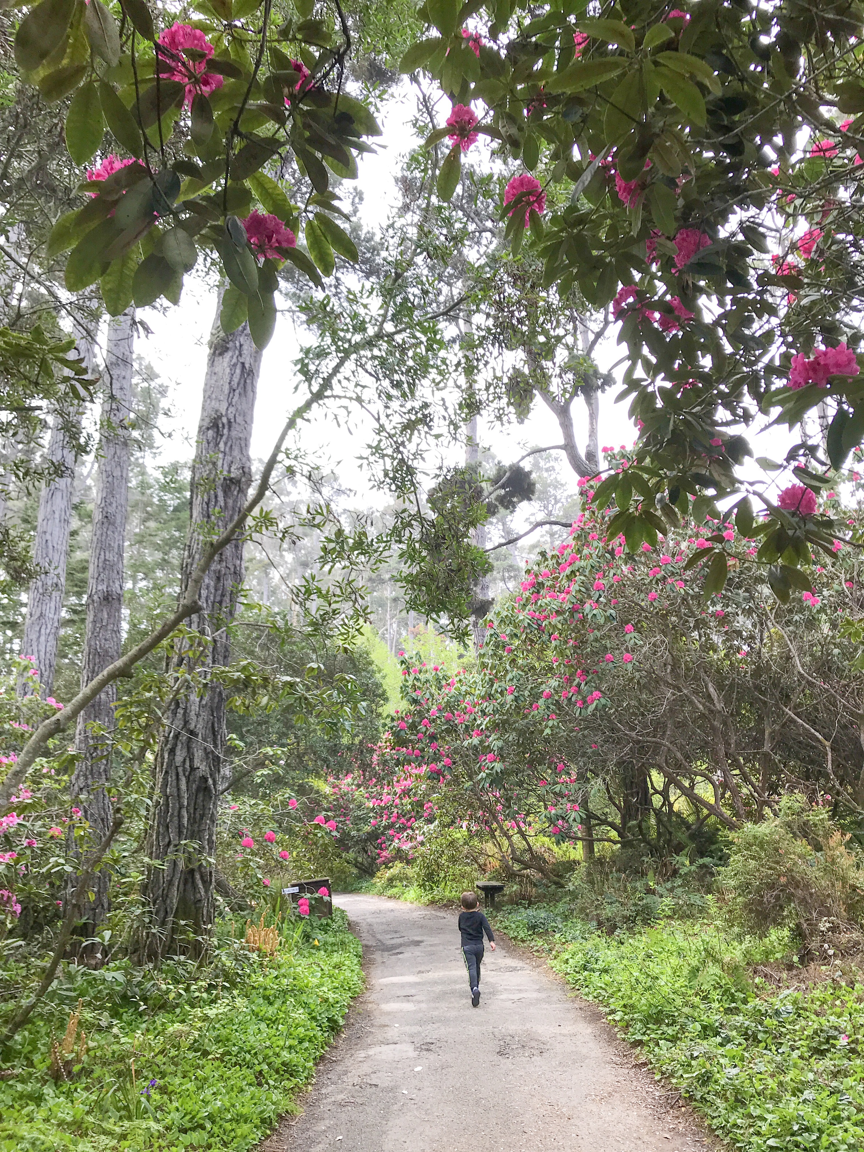 30+ Weekend Getaways and Day Trips from San Francisco with Kids