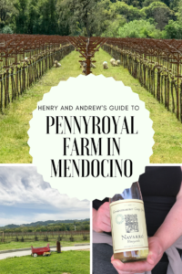 Guide to the Pennyroyal Farms in Boonville | Things to Do in Boonville and Mendocino | Henry and Andrew’s Guide (www.henryandandrewsguide.com) 