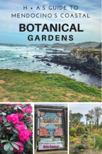 Guide to the Mendocino Botanical Gardens in Fort Bragg | Things to Do in Fort Bragg | Henry and Andrew’s Guide (www.henryandandrewsguide.com) 