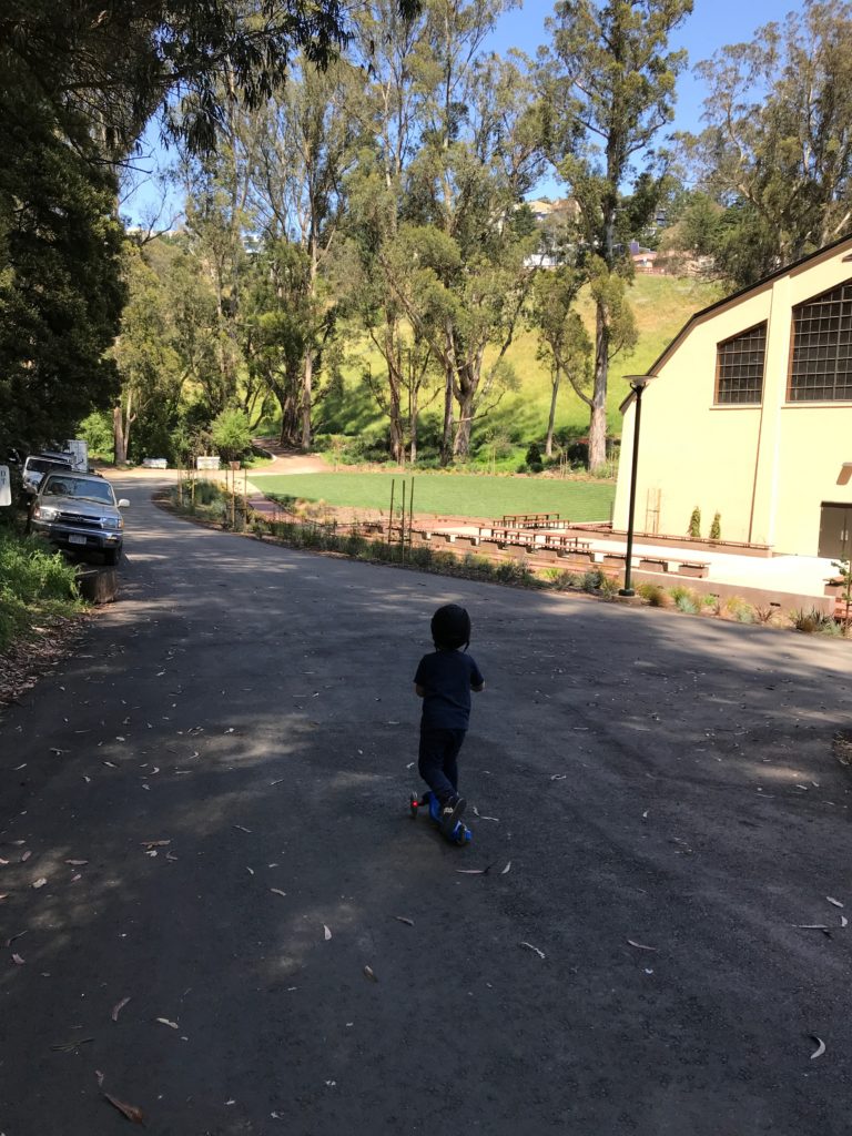 Kid-Friendly Hikes in San Francisco - Glen Canyon Park