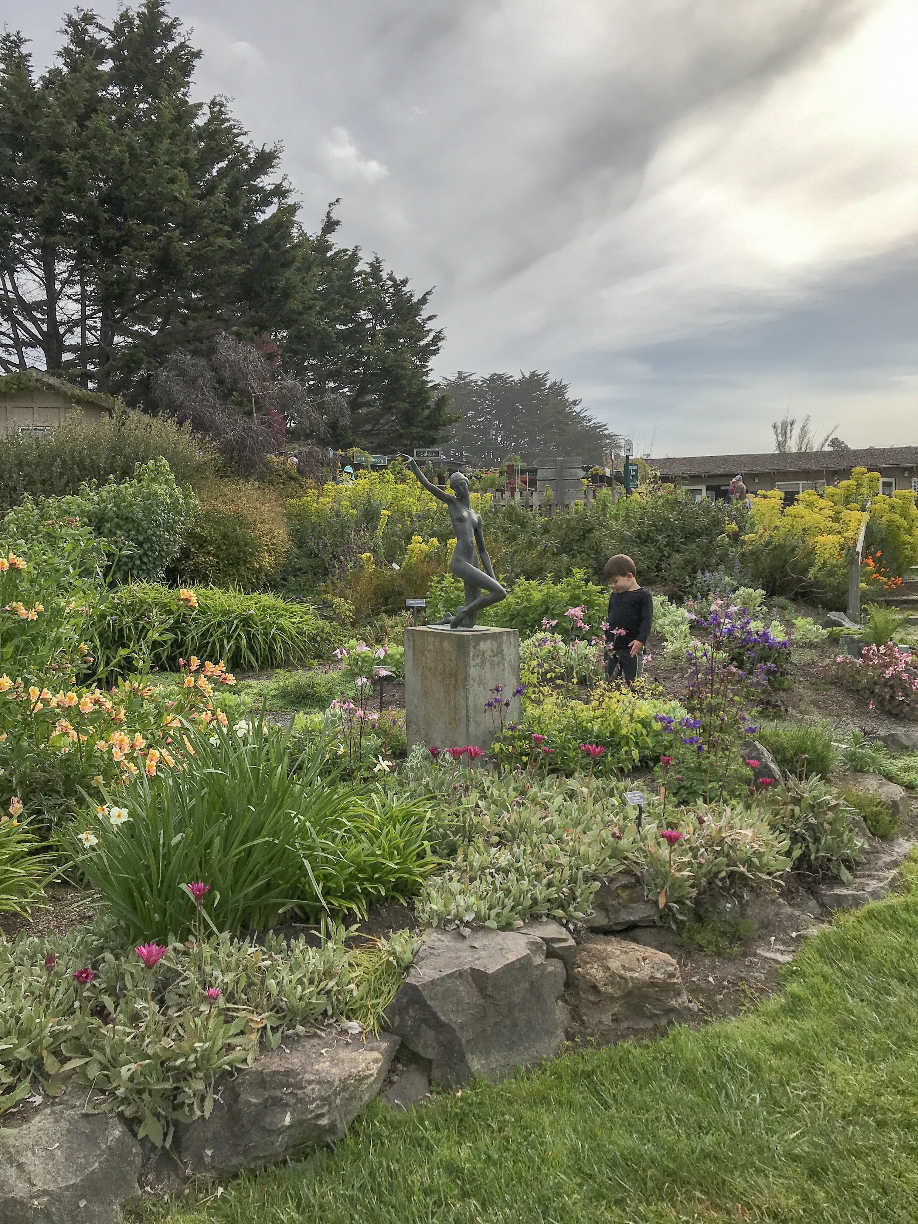 Guide to the Mendocino Botanical Gardens in Fort Bragg | Things to Do in Fort Bragg | Henry and Andrew’s Guide (www.henryandandrewsguide.com)