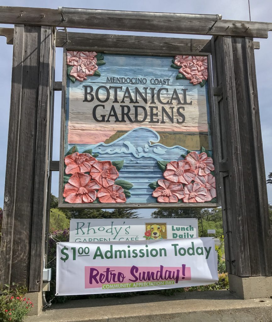 Guide to the Mendocino Botanical Gardens in Fort Bragg | Things to Do in Fort Bragg | Henry and Andrew’s Guide (www.henryandandrewsguide.com)