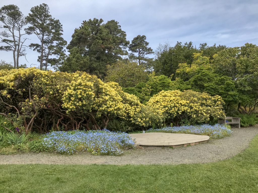 Guide to the Mendocino Botanical Gardens in Fort Bragg | Things to Do in Fort Bragg | Henry and Andrew’s Guide (www.henryandandrewsguide.com)