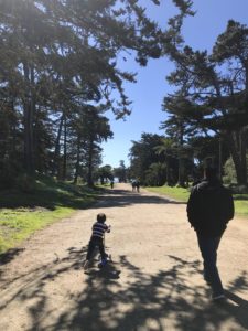 Kid-Friendly Hiking Trails in San Francisco - Stroller Friendly, Scooter Friendly, and Dog Friendly too! | Hiking in San Francisco with Kids | Henry and Andrew’s Guide (www.henryandandrewsguide.com)