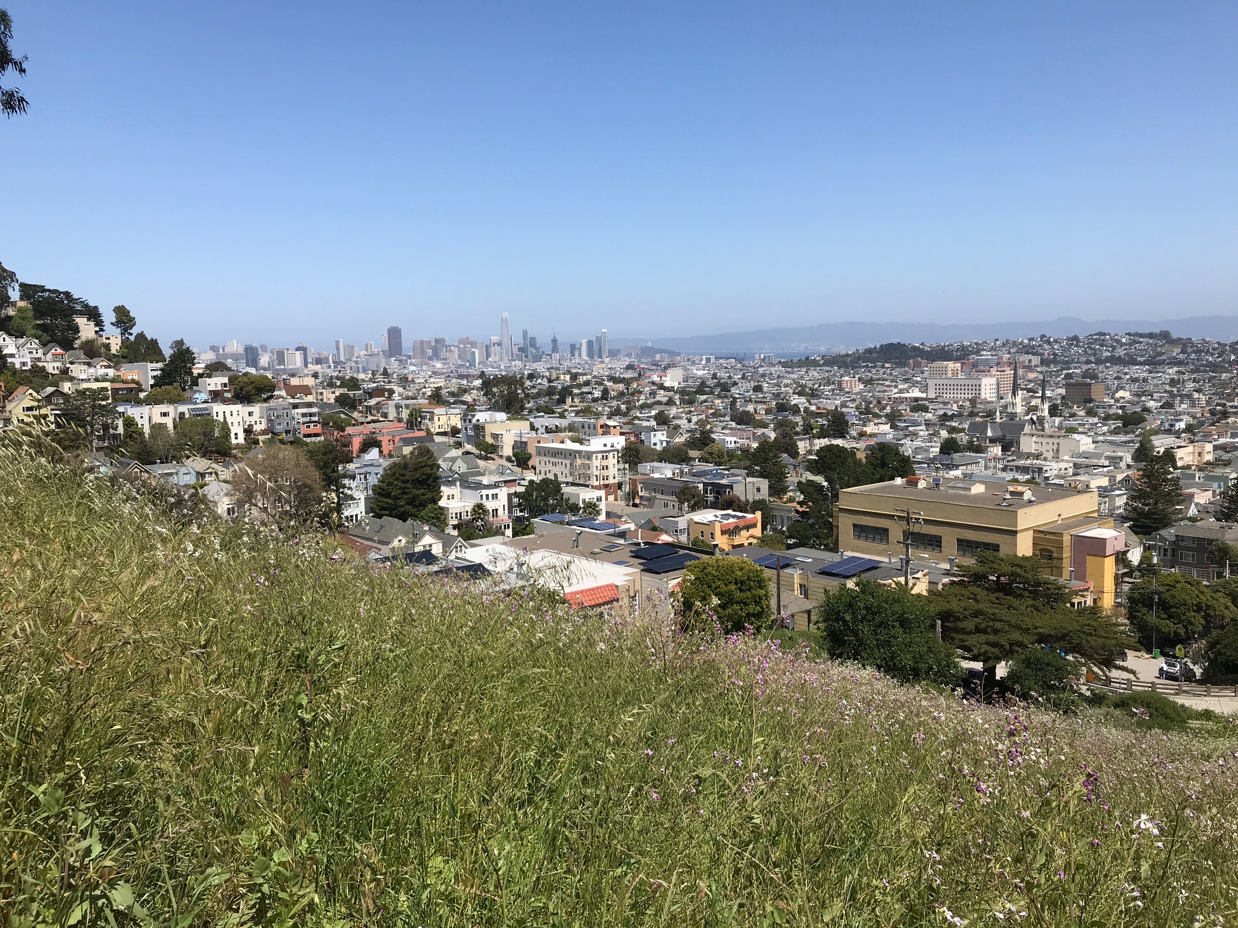 Kid Friendly Hikes in San Francisco - Billy Goat Hill