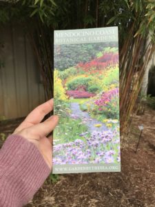 Guide to the Mendocino Botanical Gardens in Fort Bragg | Things to Do in Fort Bragg | Henry and Andrew’s Guide (www.henryandandrewsguide.com)