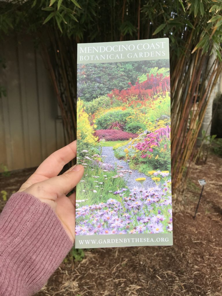 Guide to the Mendocino Botanical Gardens in Fort Bragg | Things to Do in Fort Bragg | Henry and Andrew’s Guide (www.henryandandrewsguide.com)