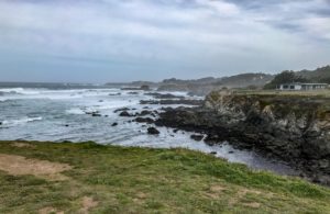 Guide to the Mendocino Botanical Gardens in Fort Bragg | Things to Do in Fort Bragg | Henry and Andrew’s Guide (www.henryandandrewsguide.com)