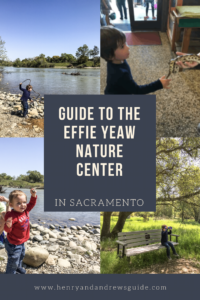 Guide to the Effie Yeaw Nature Center in Sacramento | Things to Do in Sacramento with Kids | Henry and Andrew’s Guide (www.henryandandrewsguide.com)