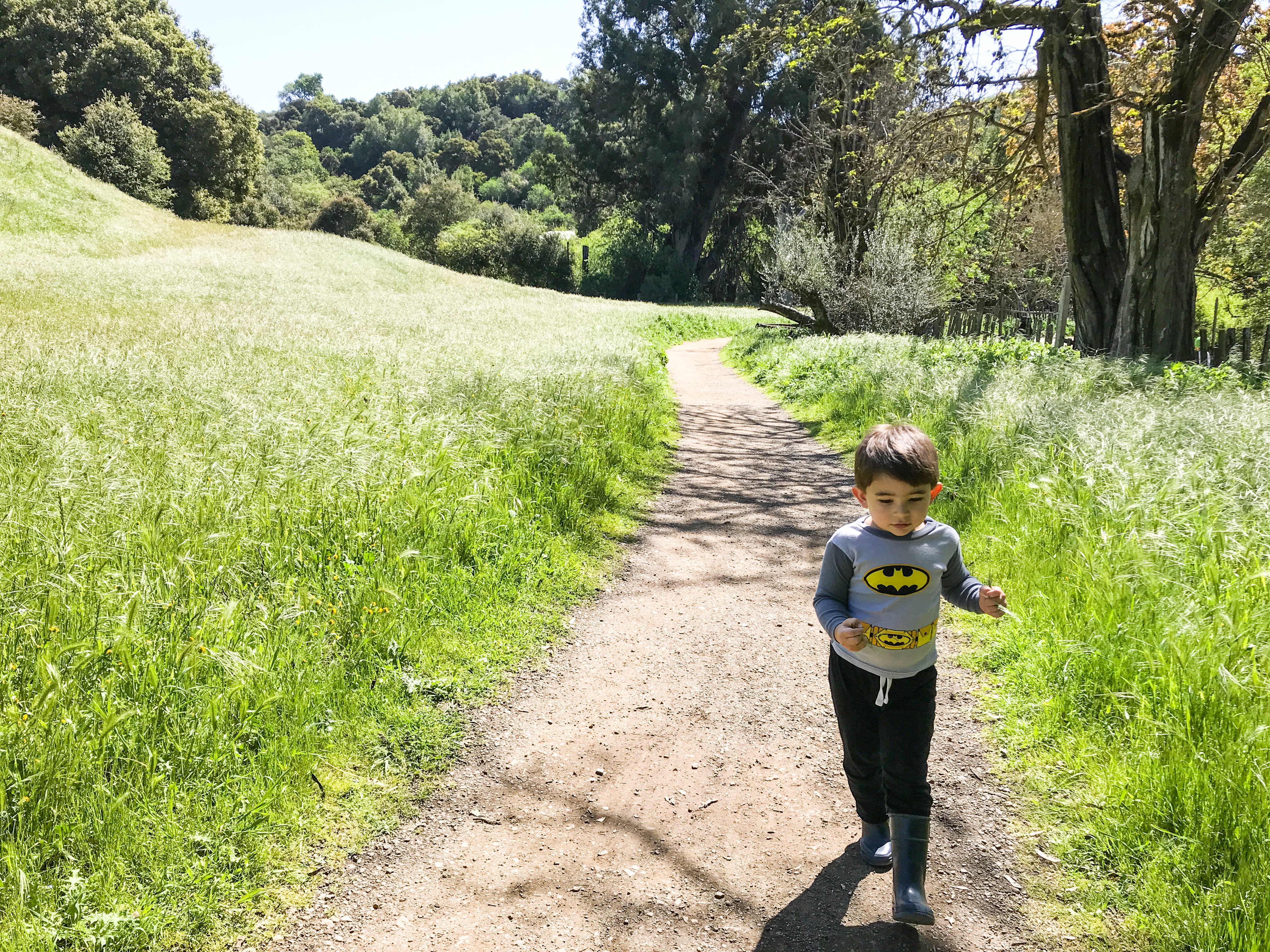 Hiking in San Francisco South Bay and San Jose with Kids