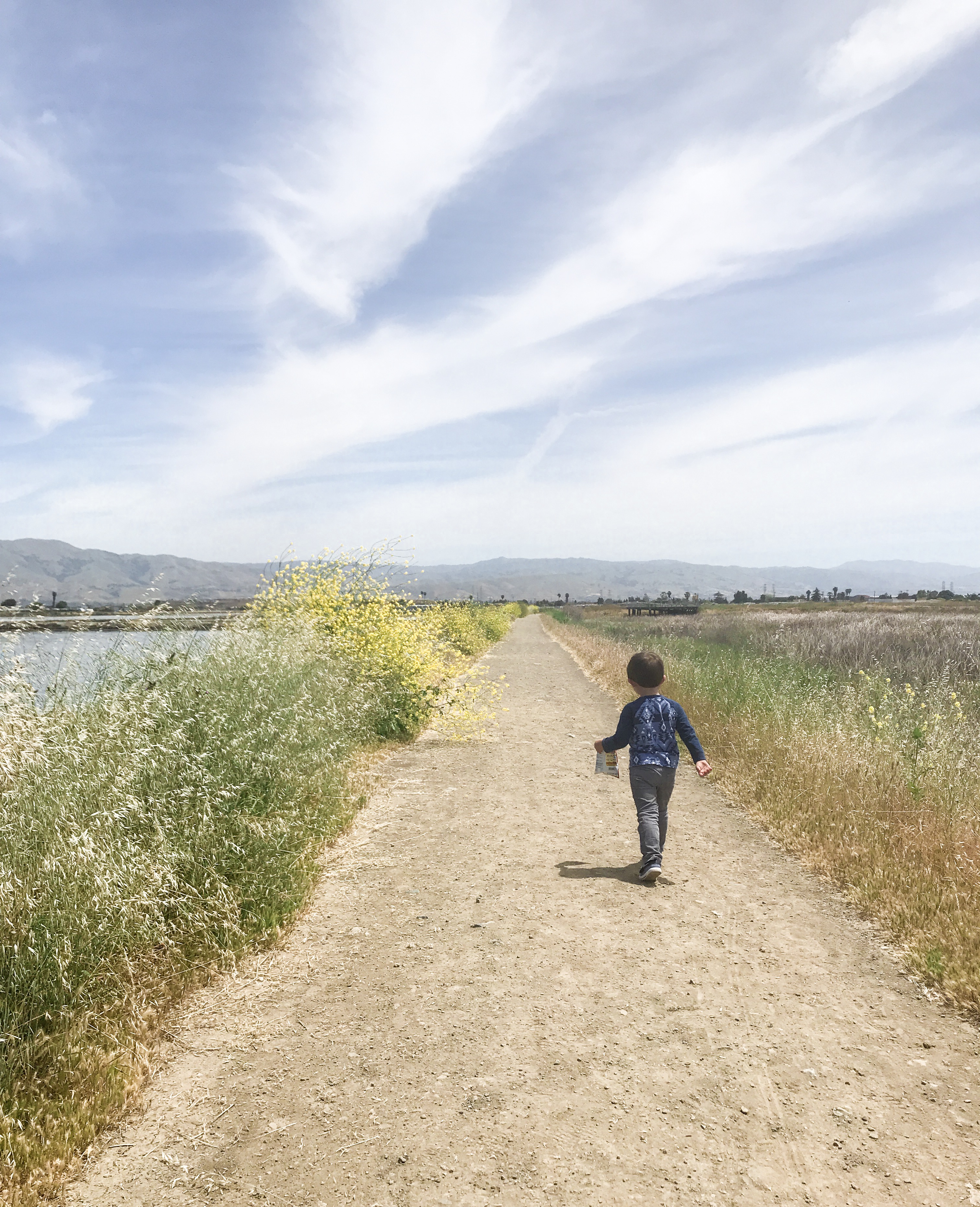 40+ Kid-Friendly South Bay Hikes – Coastal, Penninsula & Hiking Trails near San Jose