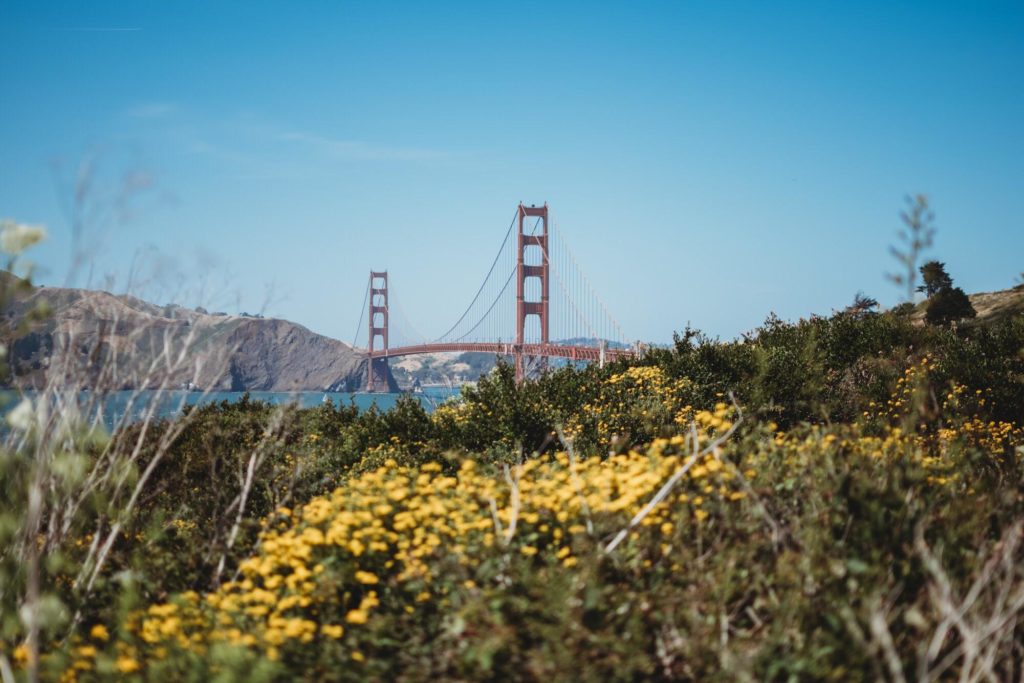 Gorgeous Bridge View in June (Lands End)