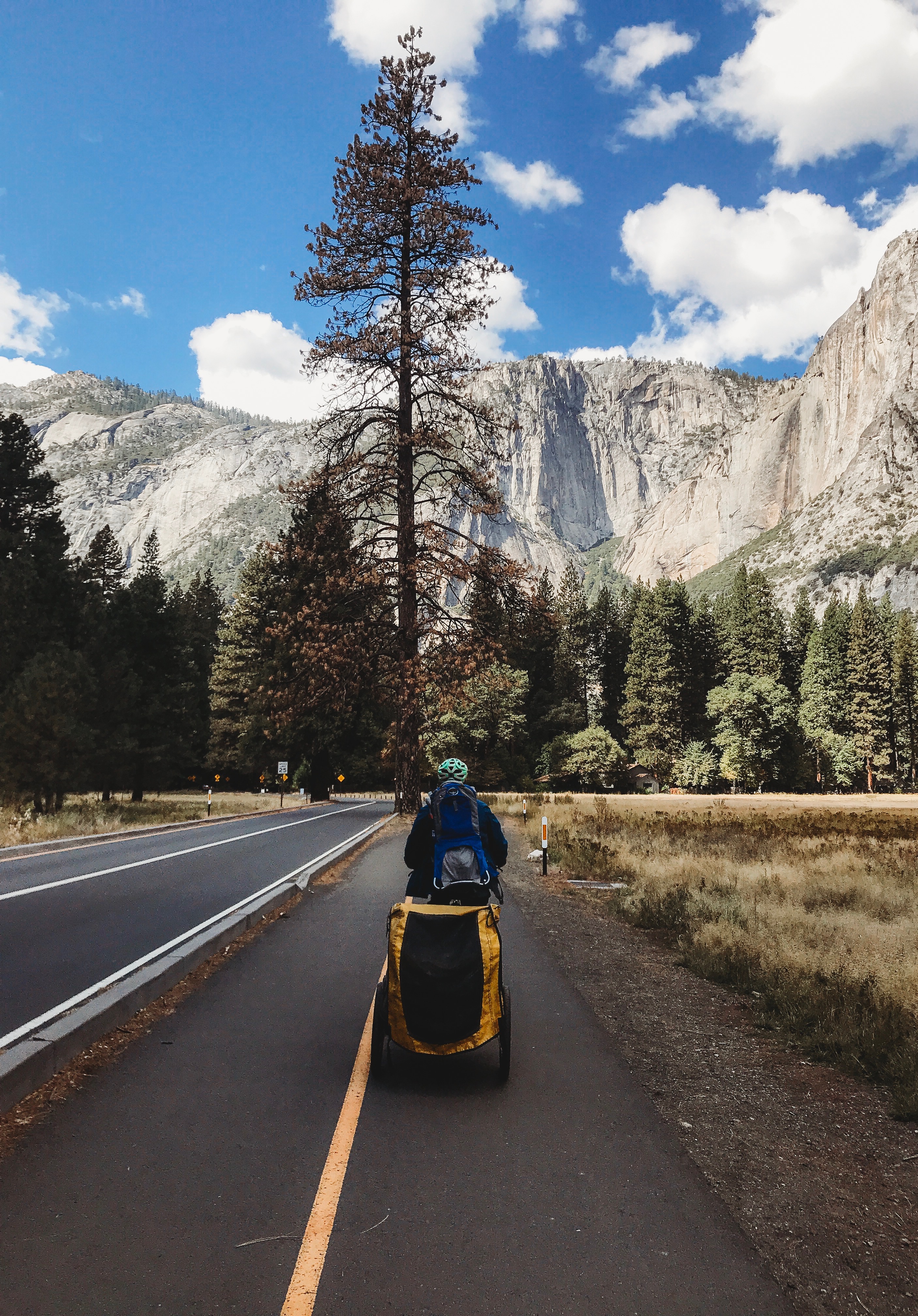 Yosemite National Park with Toddlers – One Full Day Itinerary