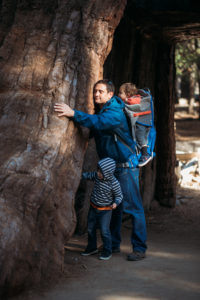 Tree tunnel huger