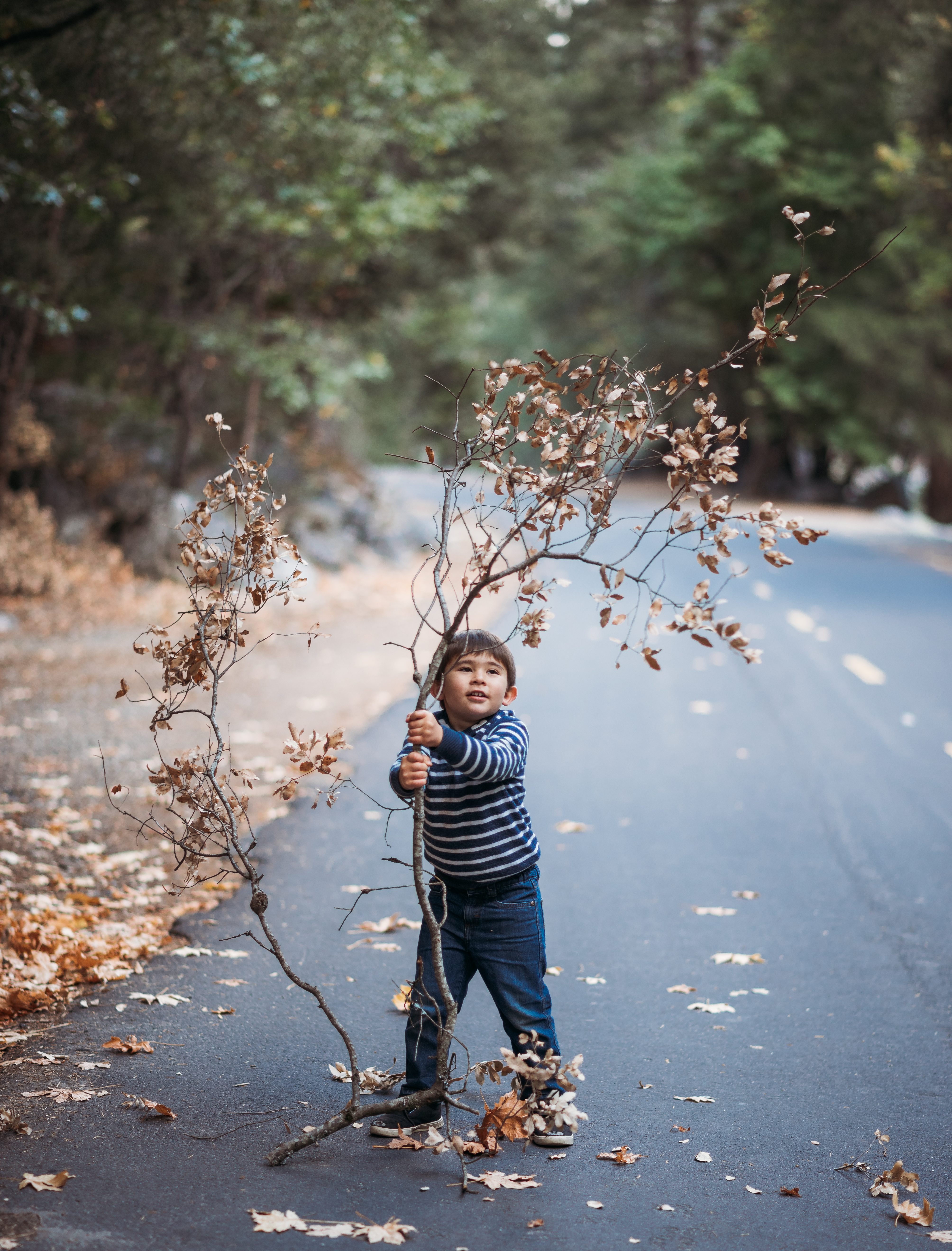 Fall fun in Yosemite