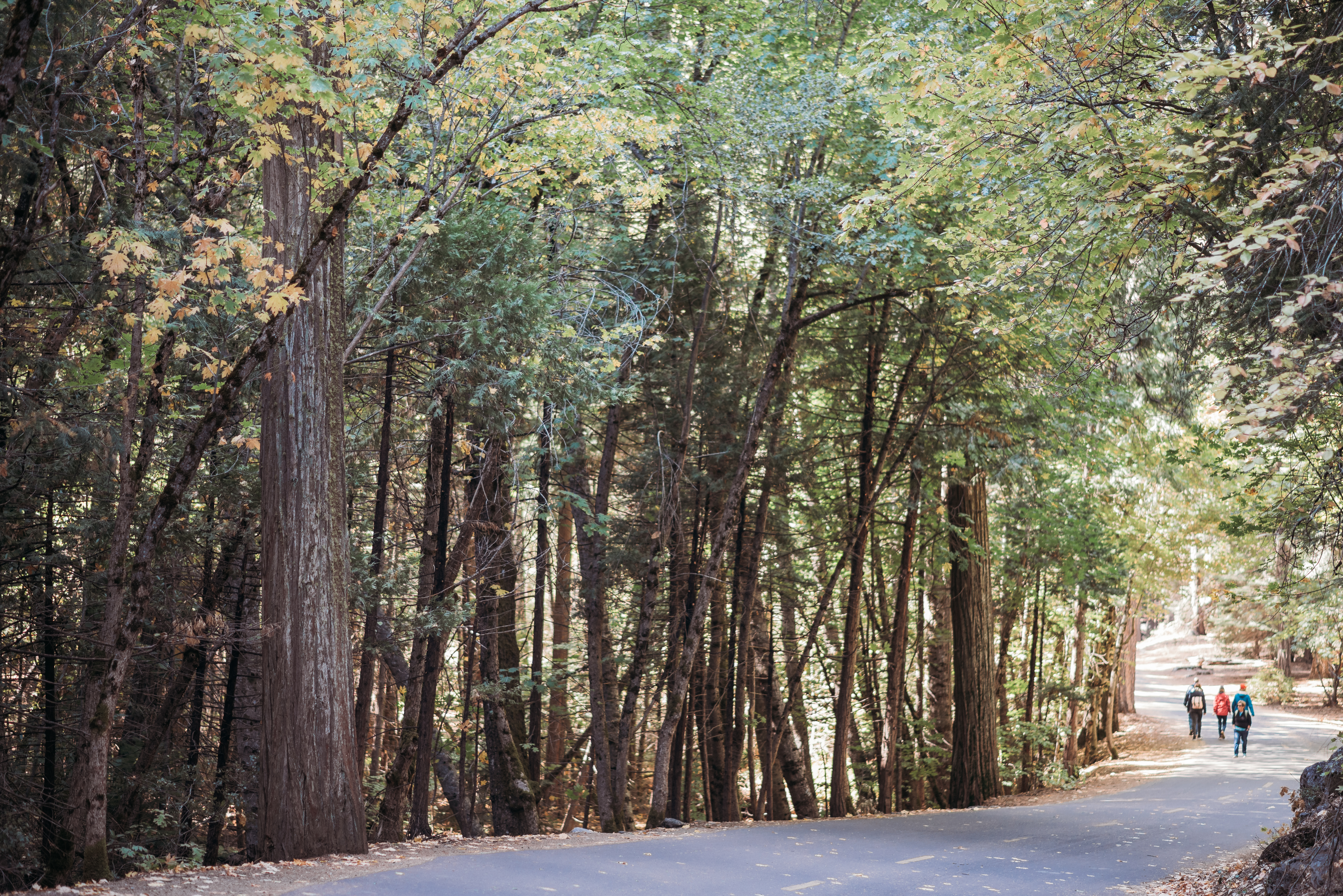 Walk from Bike racks to Mirror Lake