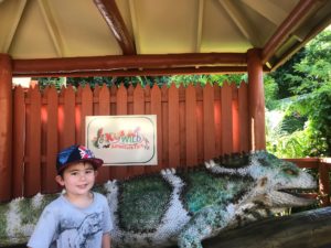Best Kids Resort Fiji Henry and Andrew's Guide Fiji Holiday with Kids Kids Wildlife Eco Park Conservation Animals