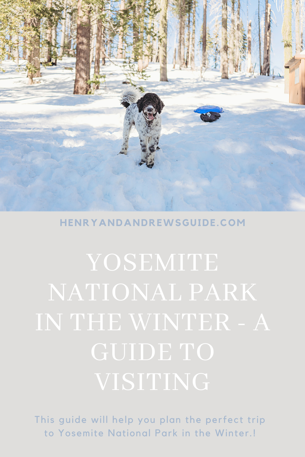 Yosemite National Park in the Winter - A Guide to Visiting 